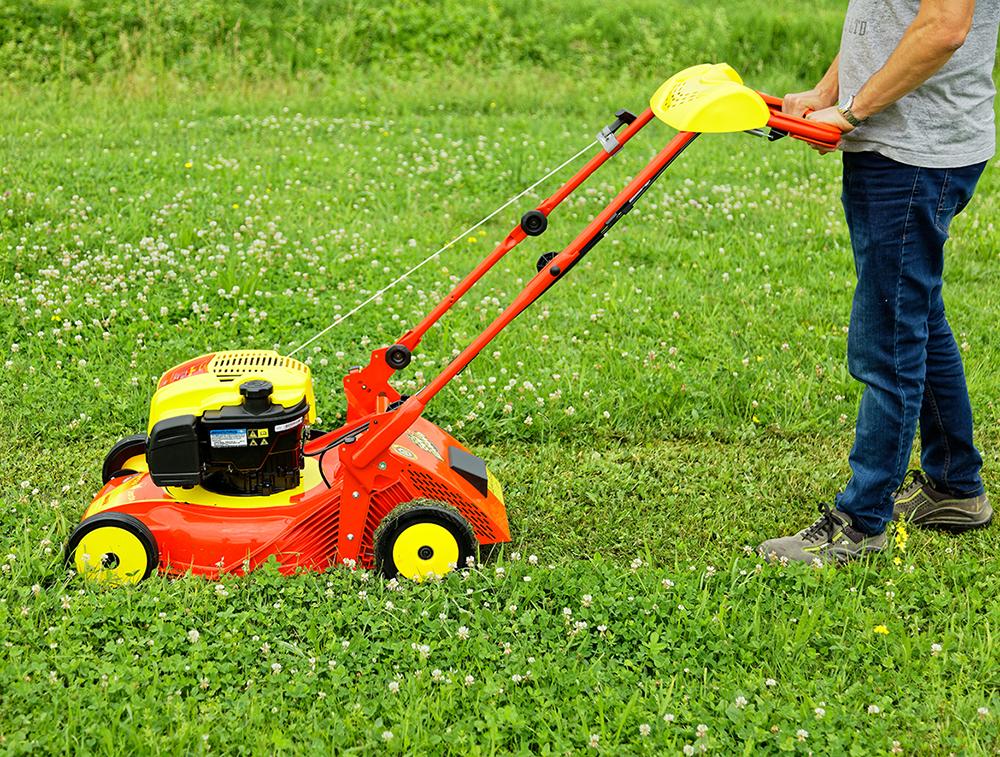 tonte mulching pour pelouse bien entretenue