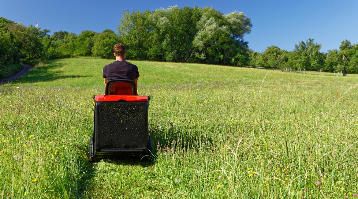 L'herbe tondue est utile au jardin