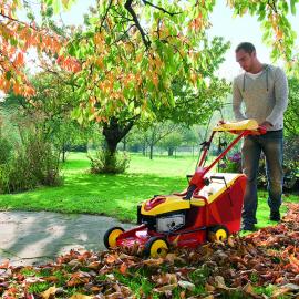 jardin outils wolf tondeuse thermique tractee conducteur marchant ramassage herbe heute et humide