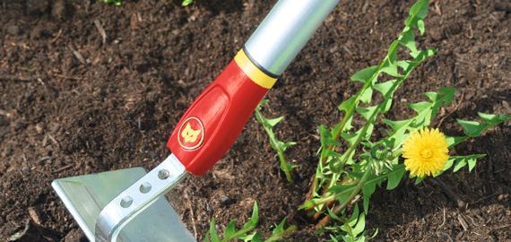 Les outils de jardinage interchangeables